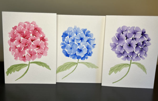 pink blue purple hydrangea set of cards