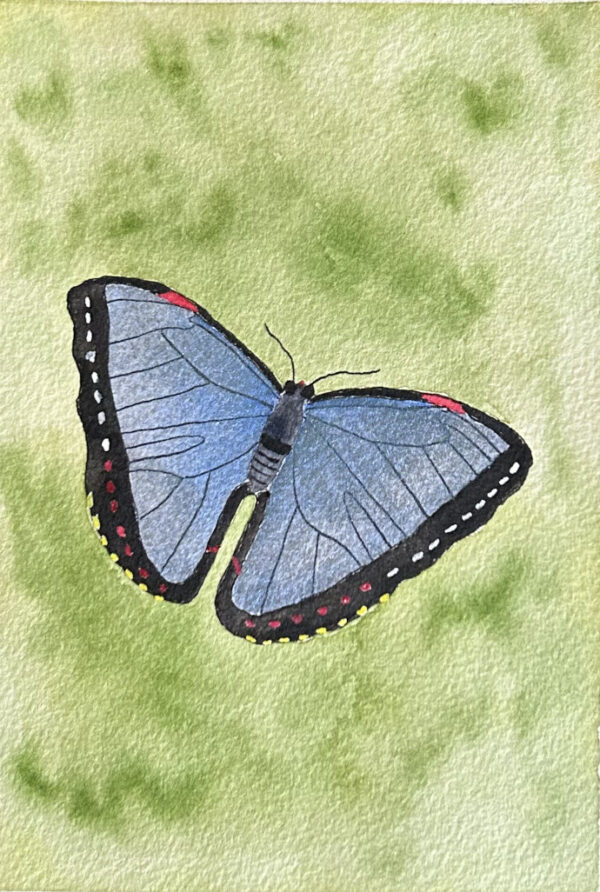 morpho butterfly artwork